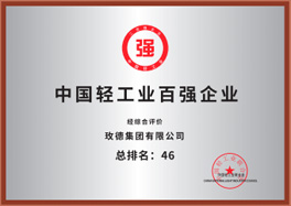 中國(guó)輕工業(yè)百?gòu)?qiáng)企業(yè)